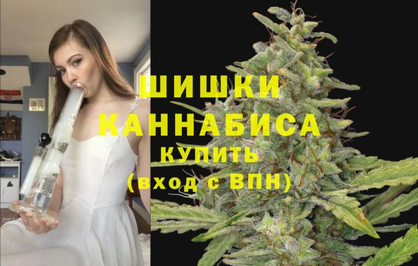 a pvp Алагир
